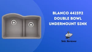 BLANCO 441592 Double Bowl Undermount Sink