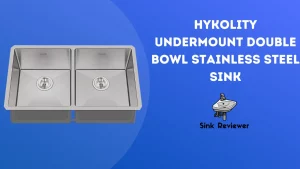 Hykolity Undermount Double Bowl Stainless Steel Sink