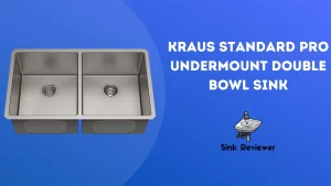 Kraus Standard PRO Undermount Double Bowl Sink